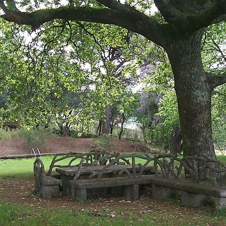 Vila Guiomar - Casa Da Eira Alvarenga Eksteriør billede