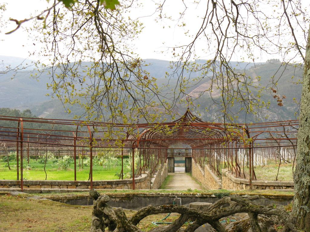Vila Guiomar - Casa Da Eira Alvarenga Eksteriør billede
