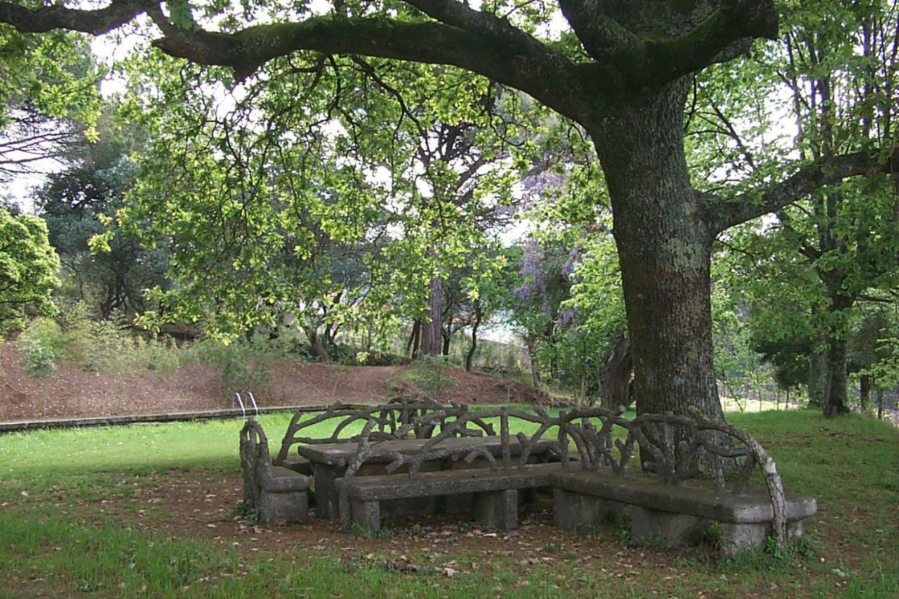 Vila Guiomar - Casa Da Eira Alvarenga Eksteriør billede